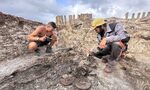 Археолози разкриха гроб на воин от епохата на траките в Тополовградско