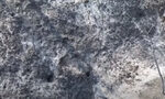 Кадри от дрон показват опустошението от масивния пожар в Южна Франция Кадри от дрон показват опустошението от масивния пожар в Южна Франция