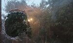 Неизвестни нанесоха щети на дома и колата на активистка срещу ТЕЦ "Бобов дол"