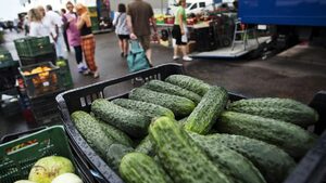 Брюксел: Източникът на заразата с E.coli може да е извън ЕС