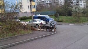 Не-новина