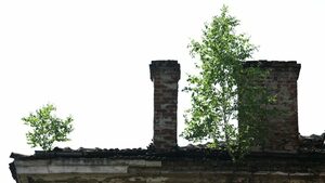 Отговор на казус: Кандидатстване за втори проект по мярка 312