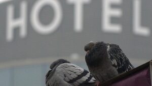 Приходите на хотелиерите нарастват с 18% през декември