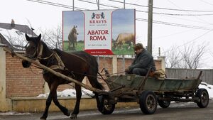 Съветът на Европа критикува продължаващата дискриминация на ромите в Румъния