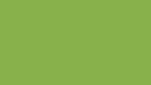 Пролетно зелено е цветът на 2017 г. според Pantone