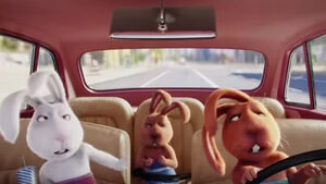 Видео: Животинско carpool karaoke и още весели кавърверсии от "Ела, изпей"
