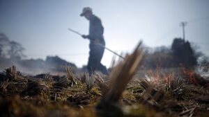 Ядрените бежанци от Фукушима остават без помощ от държавата