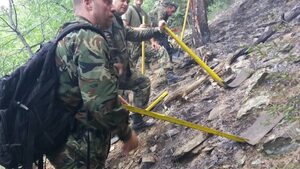Около 60 декара борова гора са изгорели при пожара край Карлово (обзор)