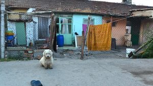Кой и защо се страхува в Русе