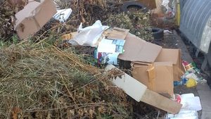 Китно локално сметище в Пловдив