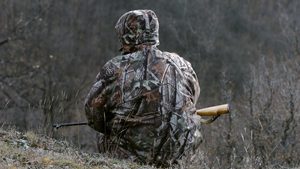 Трябва да бъдат унищожени 80% от дивите прасета