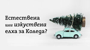 Естествена или изкуствена елха за Коледа (видео)