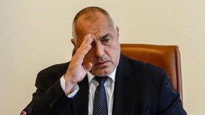 "Бойко имат право да го обичат..."