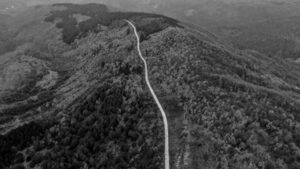 Фотогалерия: Кого може да срещнете на границата между България и Сърбия