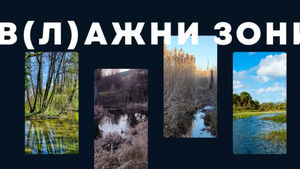 Как една влажна зона е полезна за биоразнообразието