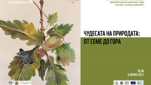 Фотогалерия: Изложба показва пътя на природата от семе до гора