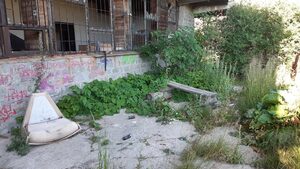 Върховният съд: Ски писта "Конярника" на Витоша трябва да се възстанови
