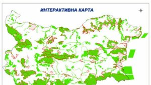 Промени в Закона за биоразнообразието отново будят тревога у природозащитниците