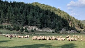 Три пъти стомна за волфрам - или за чистата вода на Велинград