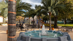 Дори операционните системи ги няма: какво стана в Стамболийски след изборите