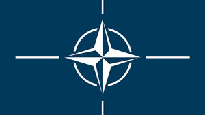 НАТО на 75. Ще остане ли алиансът смислена организация