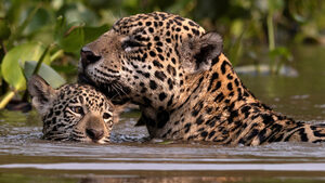 Фотогалерия: Световните снимки на деня - 24 октомври 2024 г.