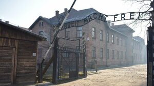 80 години от освобождението на Аушвиц: най-бруталната машина за убийства на нацистите