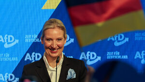Първи реакции: AfD подава ръка за правителство