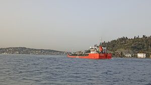В Черно море за година е имало над 170 петна от нефт и корабно гориво