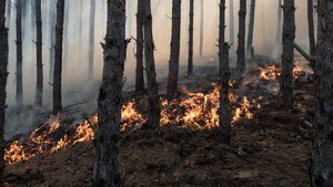 Голям пожар пламна край Сопот