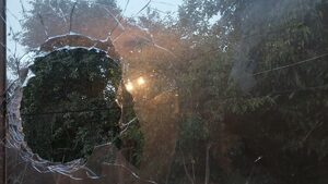 Неизвестни нанесоха щети на дома и колата на активистка срещу ТЕЦ "Бобов дол"