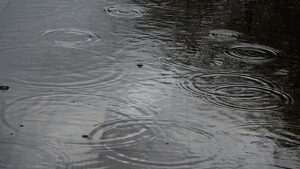 Наводнени къщи и мазета в Петрич след като падна сериозно количество дъжд