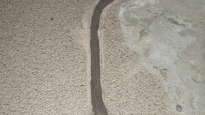 Астрономи се обявиха срещу зелен проект в Атакама, щял да им скрие звездите