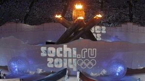 Сочи 2014 събра 1.1 млрд. долара от "домашни" спонсори