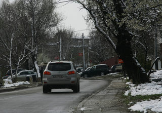 P0241579NEL.jpg