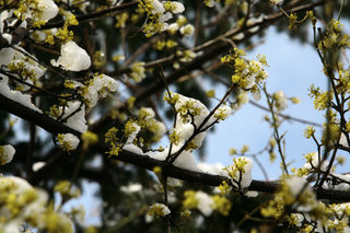 P0241580NEL.jpg