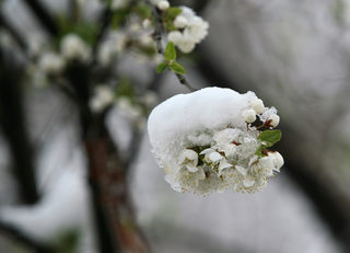 P0241583NEL.jpg