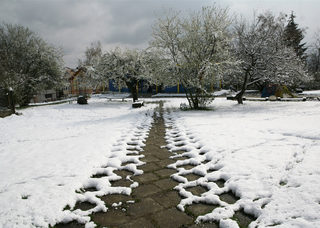 P0241584NEL.jpg