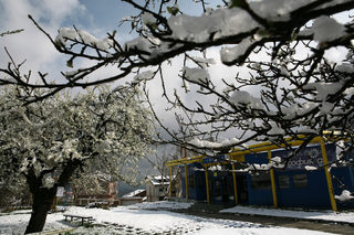 P0241585NEL.jpg