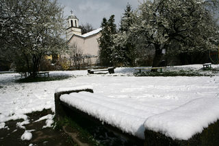 P0241586NEL.jpg