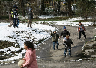 P0241587NEL.jpg