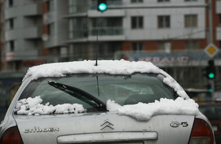 P0241589NEL.jpg