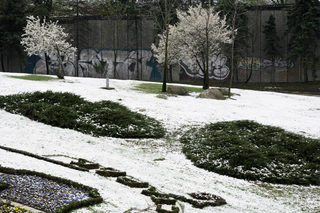 P0241591NEL.jpg