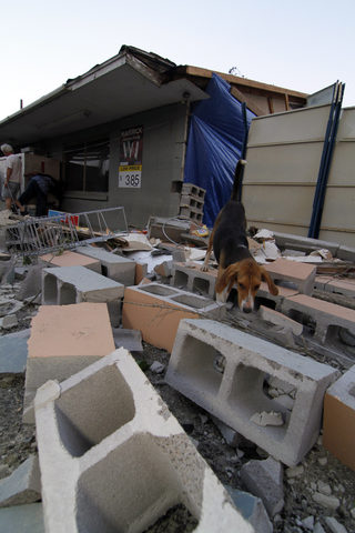 AP110427153694.jpg