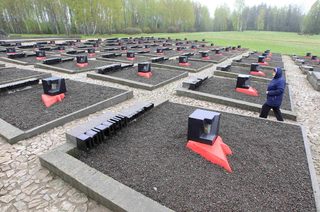 MDF38367.JPG