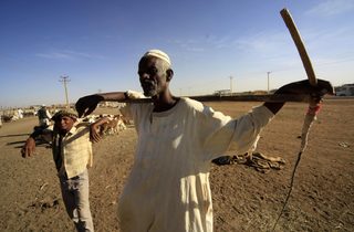 A sheep vendor waits for customers at a market, ahead of the Eid-al-Adha feast, in Khartoum