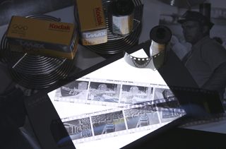 MDF79686.JPG