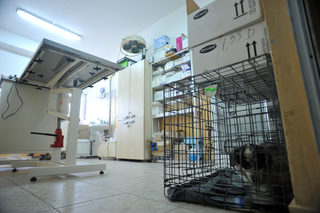 P0256402K.JPG