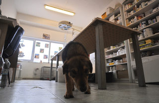 P0256403K.JPG