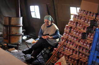 P0256776Q.jpg